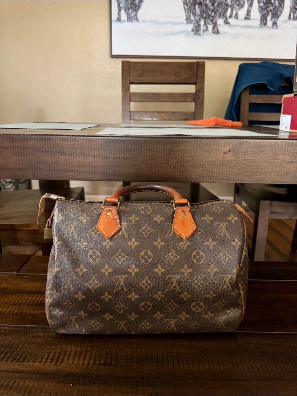 Louis Vuitton Monogram Speedy (Vintage)